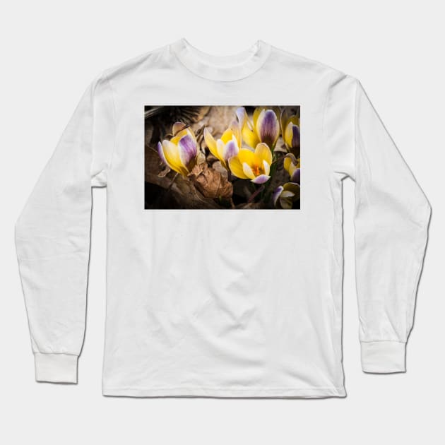 Spring Crocus 1 Long Sleeve T-Shirt by Robert Alsop